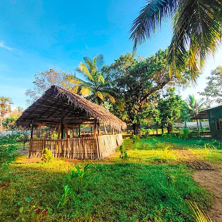 Wilpattu Green Cabin Achchamulai Exteriér fotografie