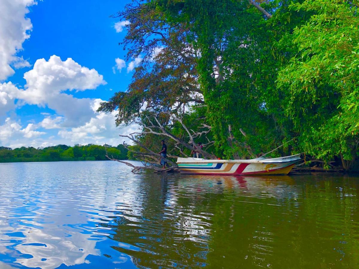 Wilpattu Green Cabin Achchamulai Exteriér fotografie