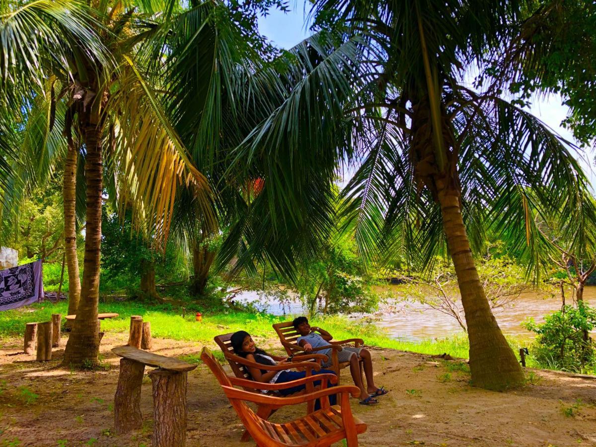 Wilpattu Green Cabin Achchamulai Exteriér fotografie
