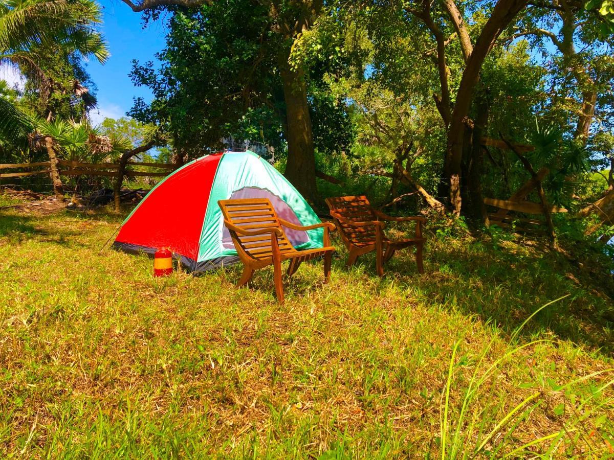 Wilpattu Green Cabin Achchamulai Exteriér fotografie