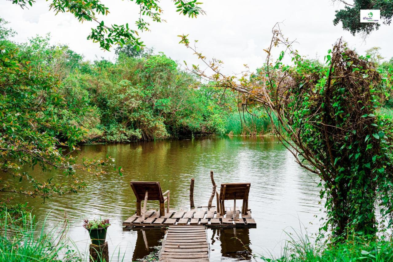 Wilpattu Green Cabin Achchamulai Exteriér fotografie