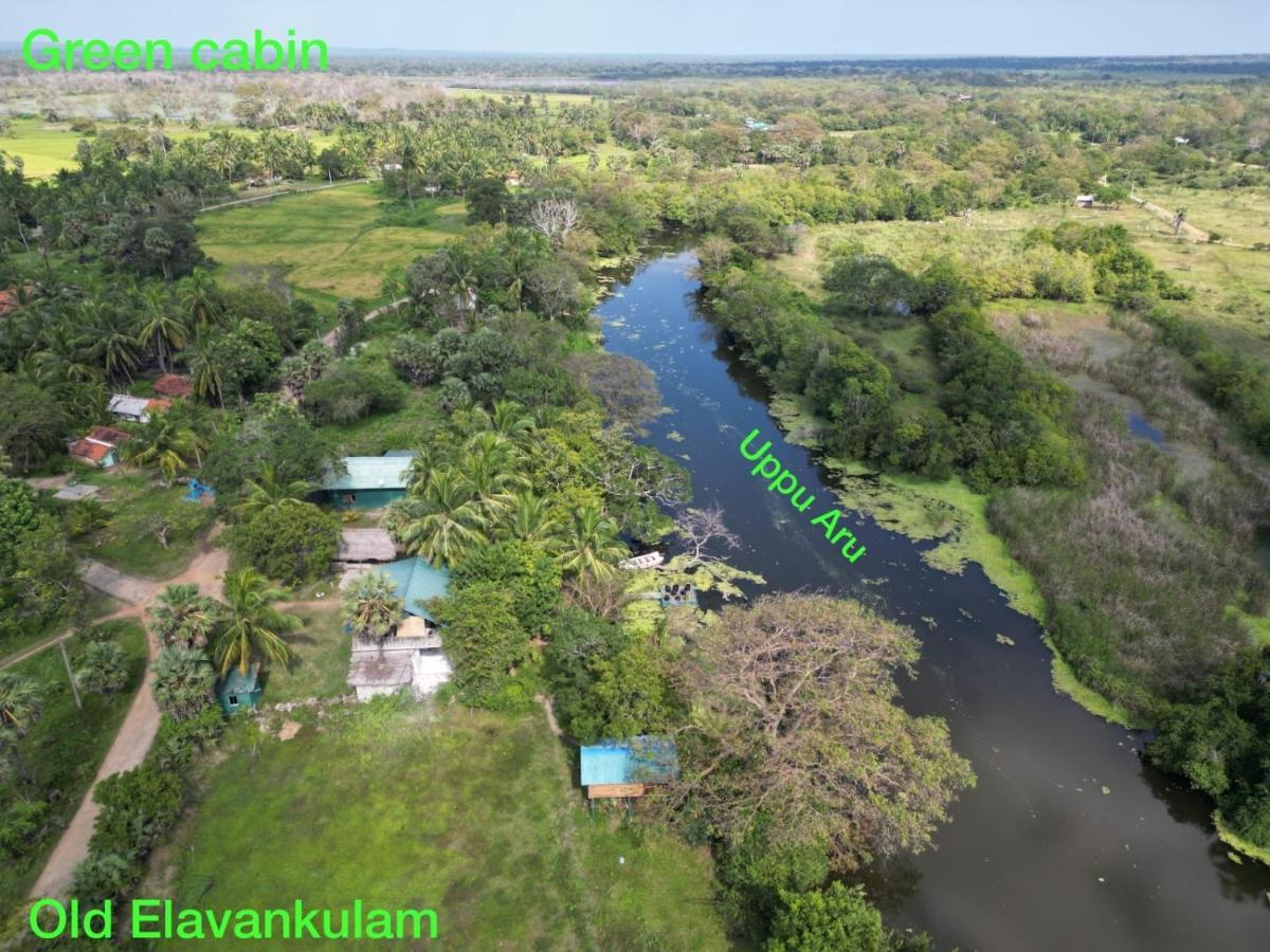 Wilpattu Green Cabin Achchamulai Exteriér fotografie