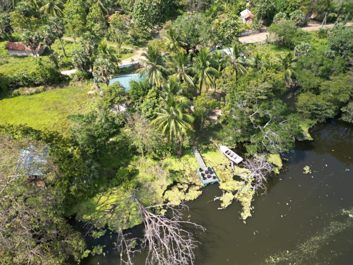 Wilpattu Green Cabin Achchamulai Exteriér fotografie