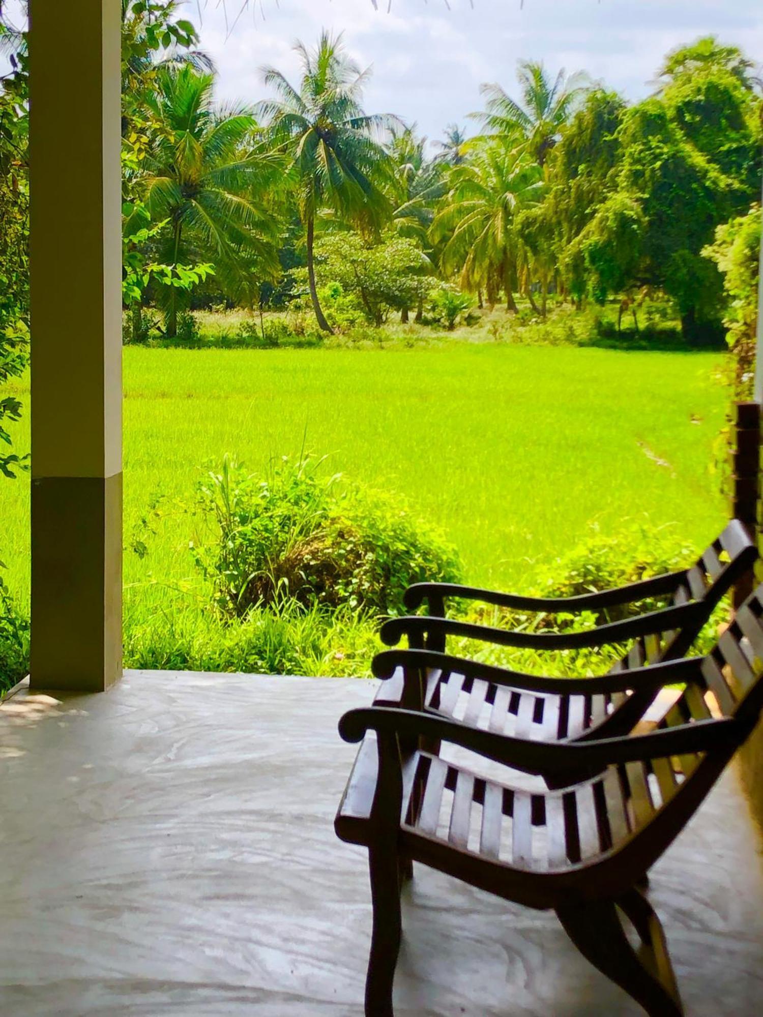 Wilpattu Green Cabin Achchamulai Exteriér fotografie
