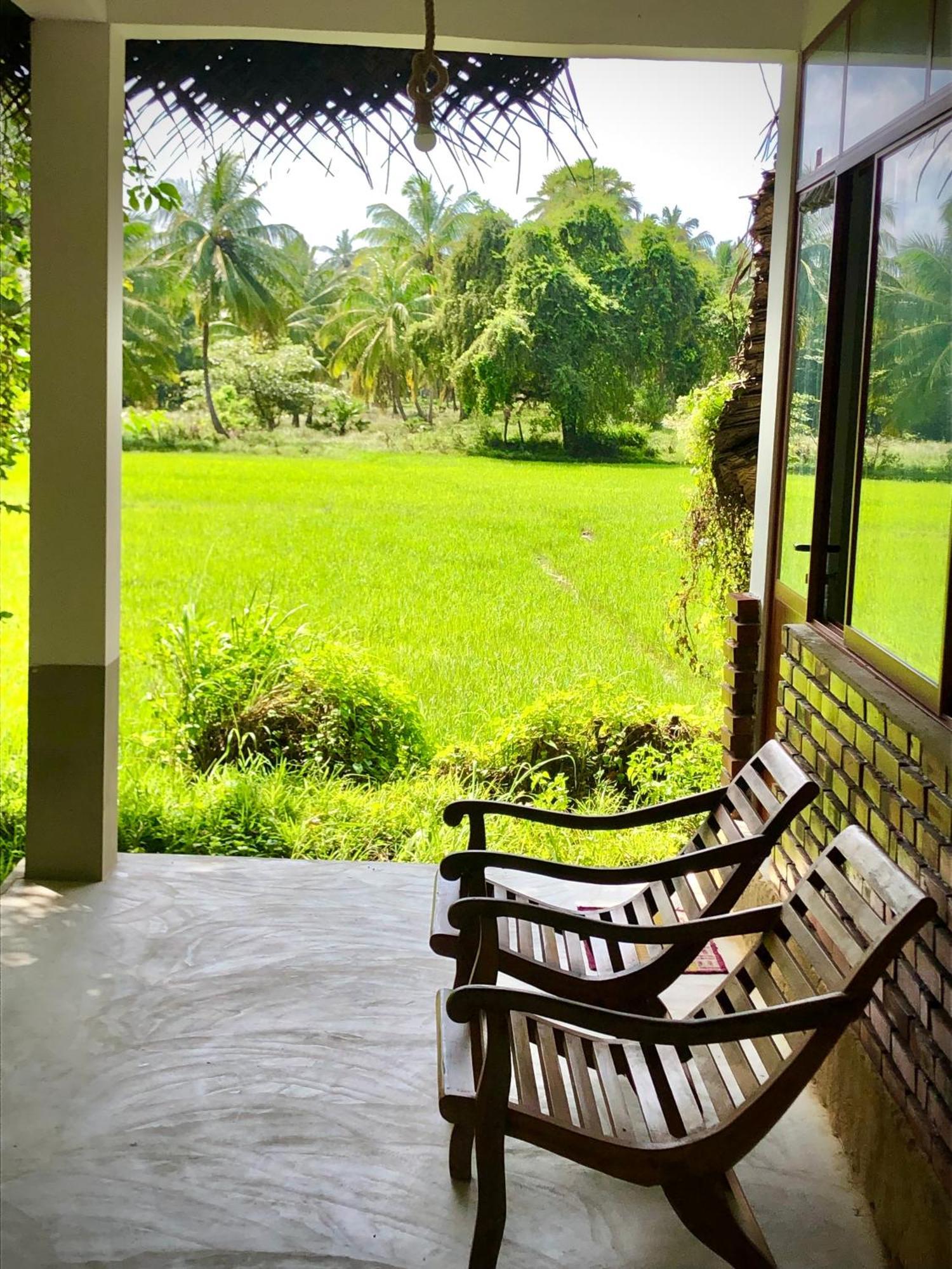 Wilpattu Green Cabin Achchamulai Exteriér fotografie