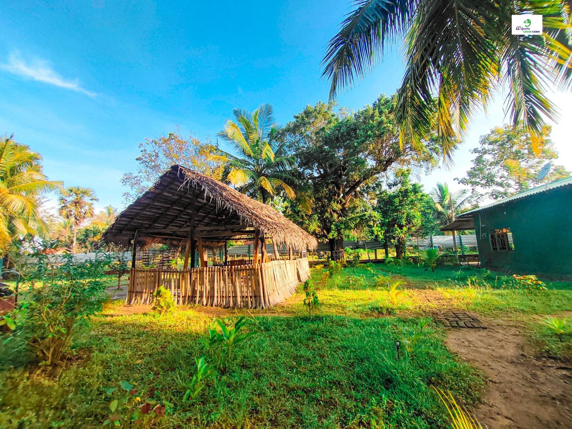 Wilpattu Green Cabin Achchamulai Exteriér fotografie